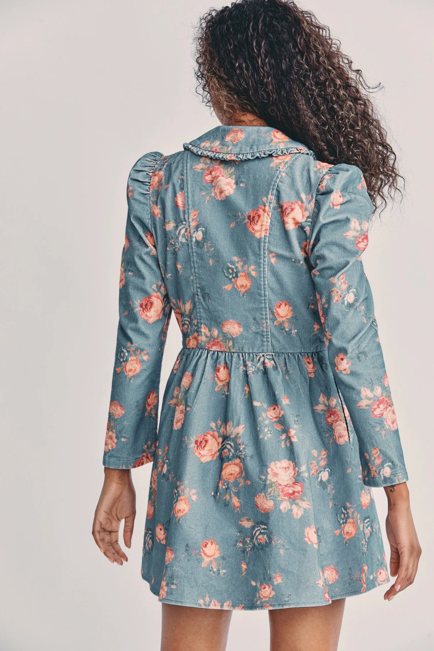 Love Shack Fancy - Beyers Dress in Faded Denim