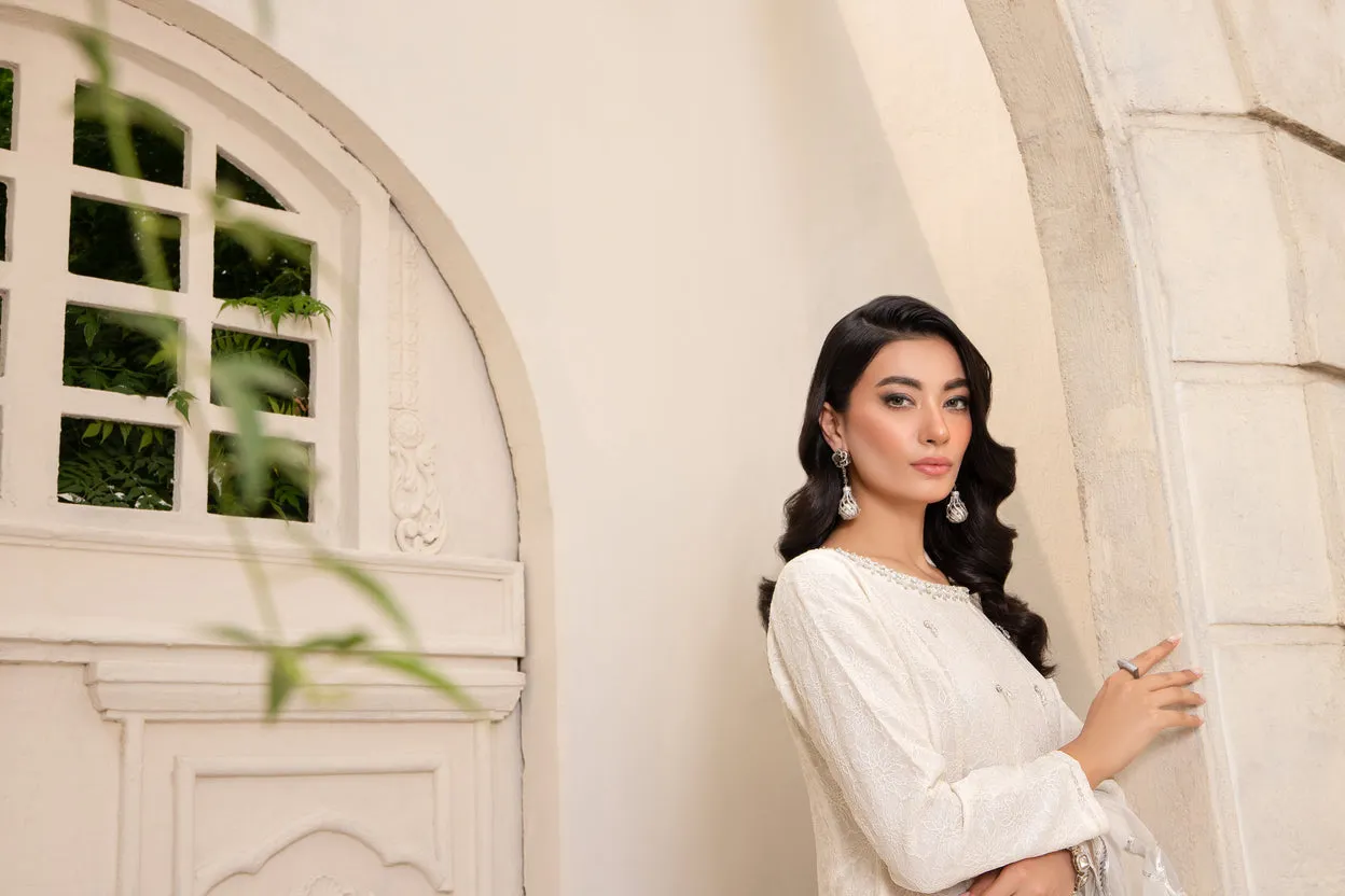 LUXURY CHIFFON PEPLUM BY AIN 39
