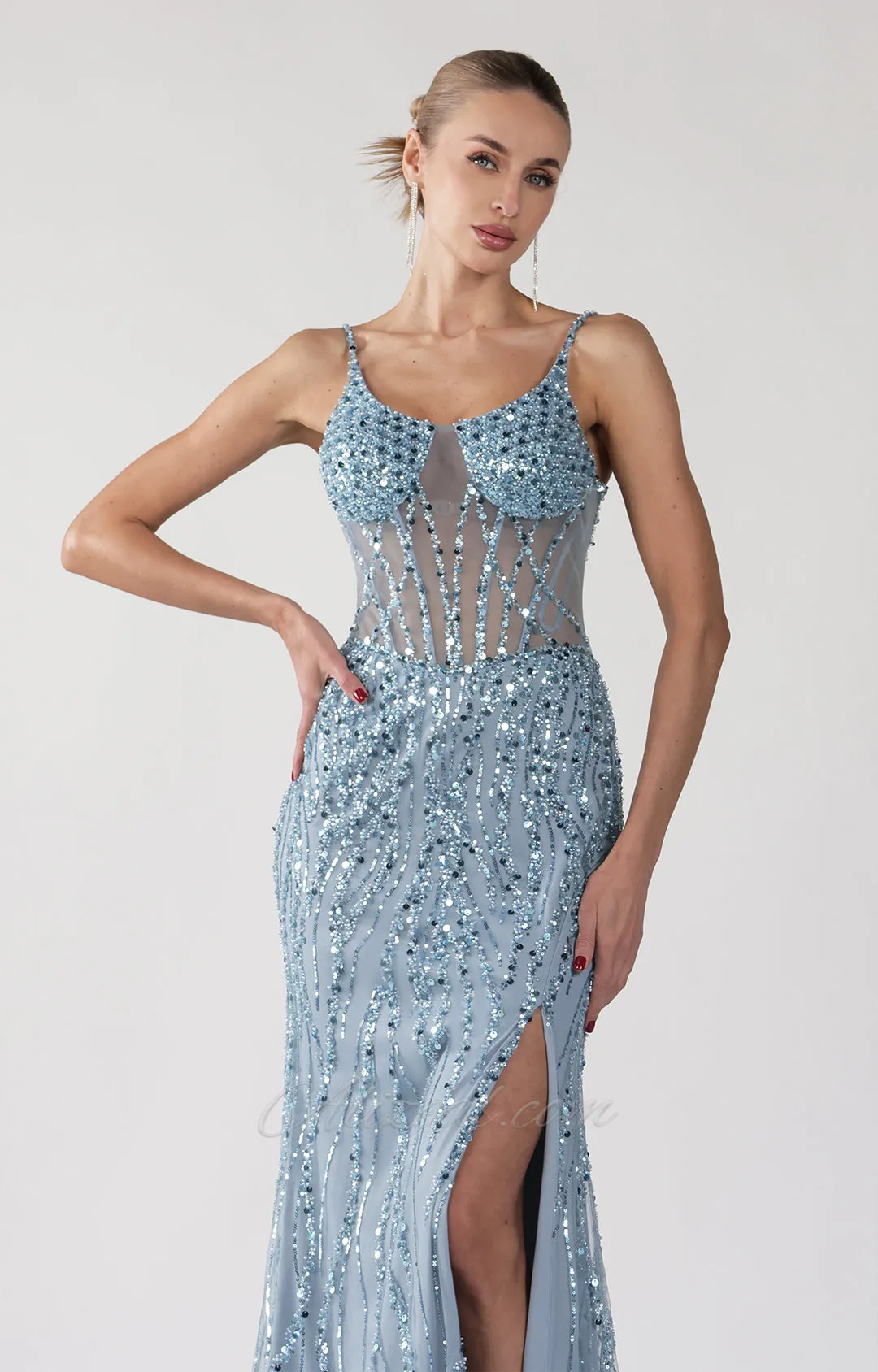 Spaghetti Straps Round Neck Transparent Corset Evening Dress