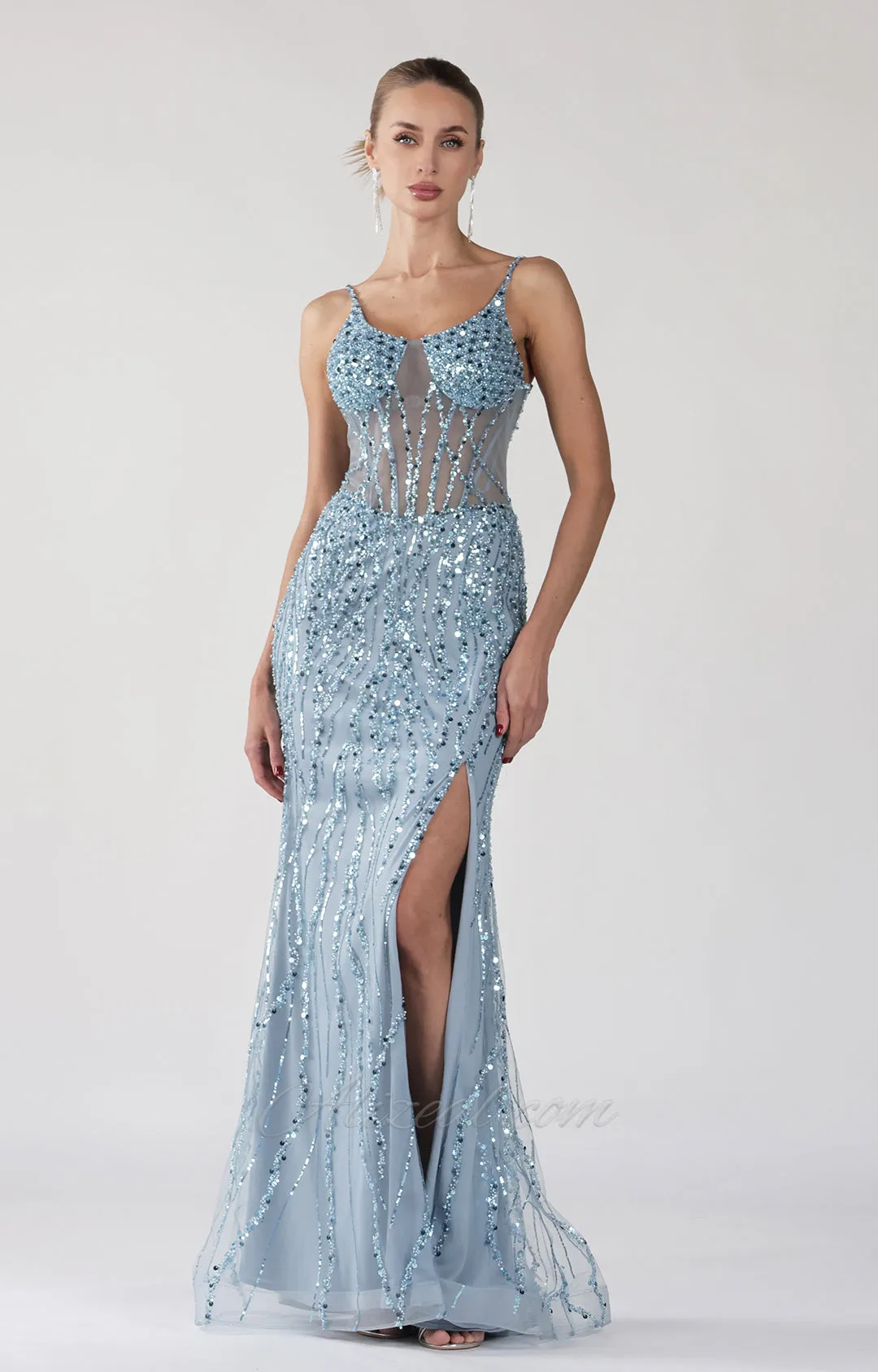 Spaghetti Straps Round Neck Transparent Corset Evening Dress